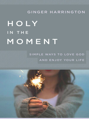cover image of Holy in the Moment